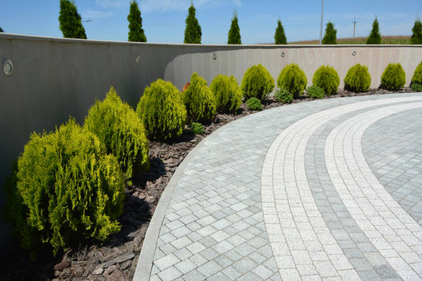 Best Decorative Driveway Pavers  in Beechwood, MS