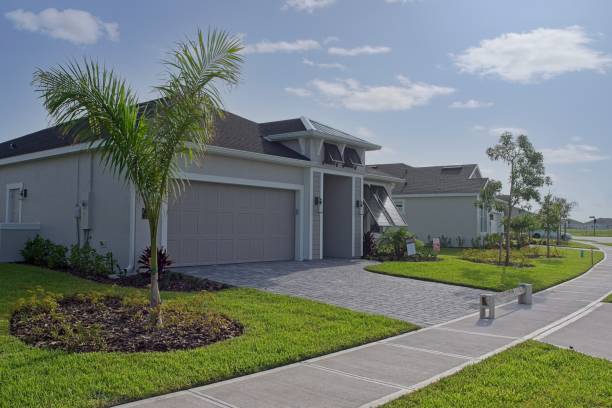Best Driveway Paving Contractor  in Beechwood, MS